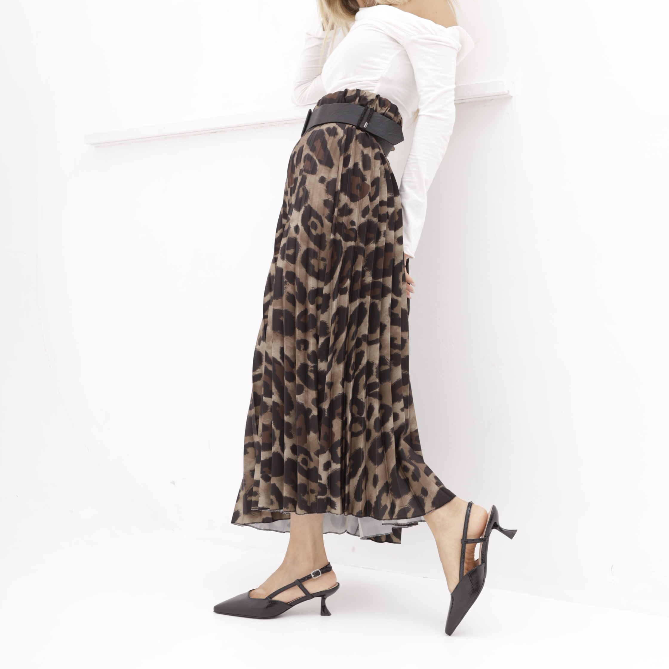 კლასიკური CRICHIC