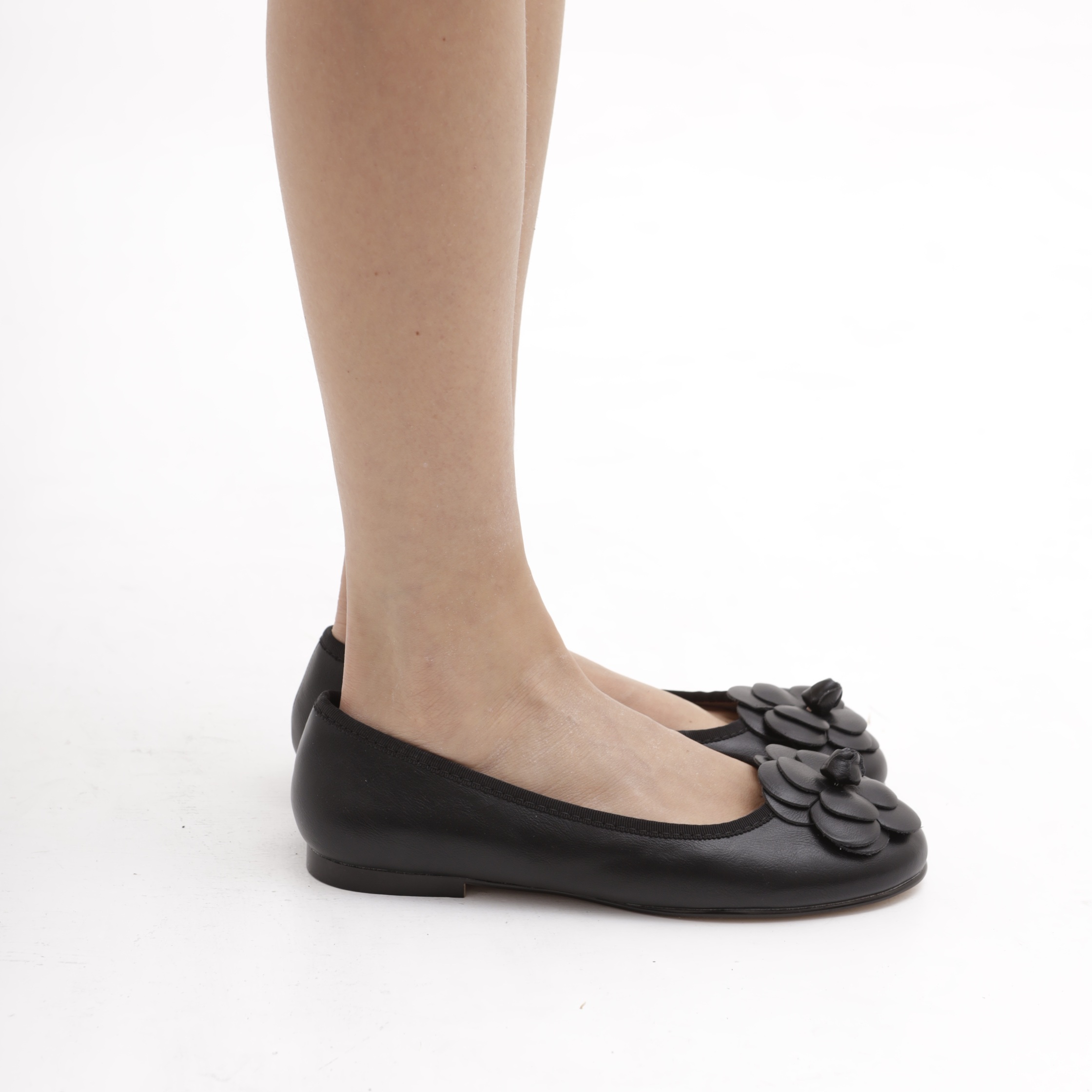 ლოფერი CRICHIC