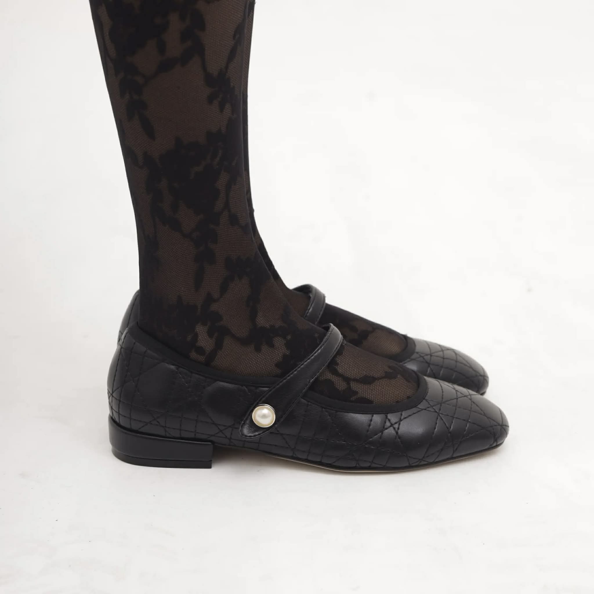 ლოფერი CRICHIC