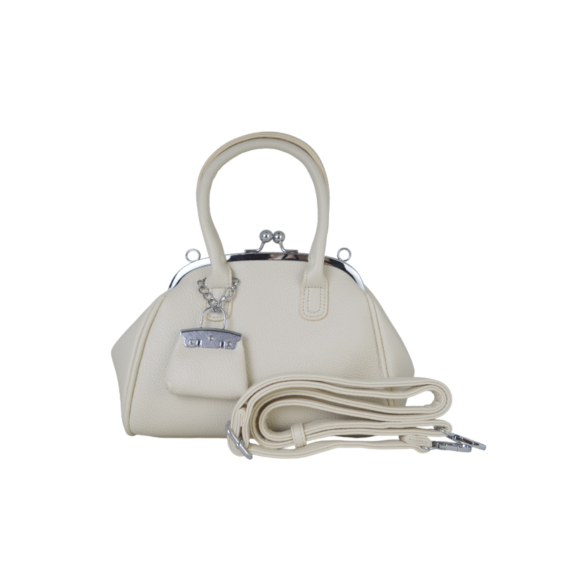 ჩანთა GAVI