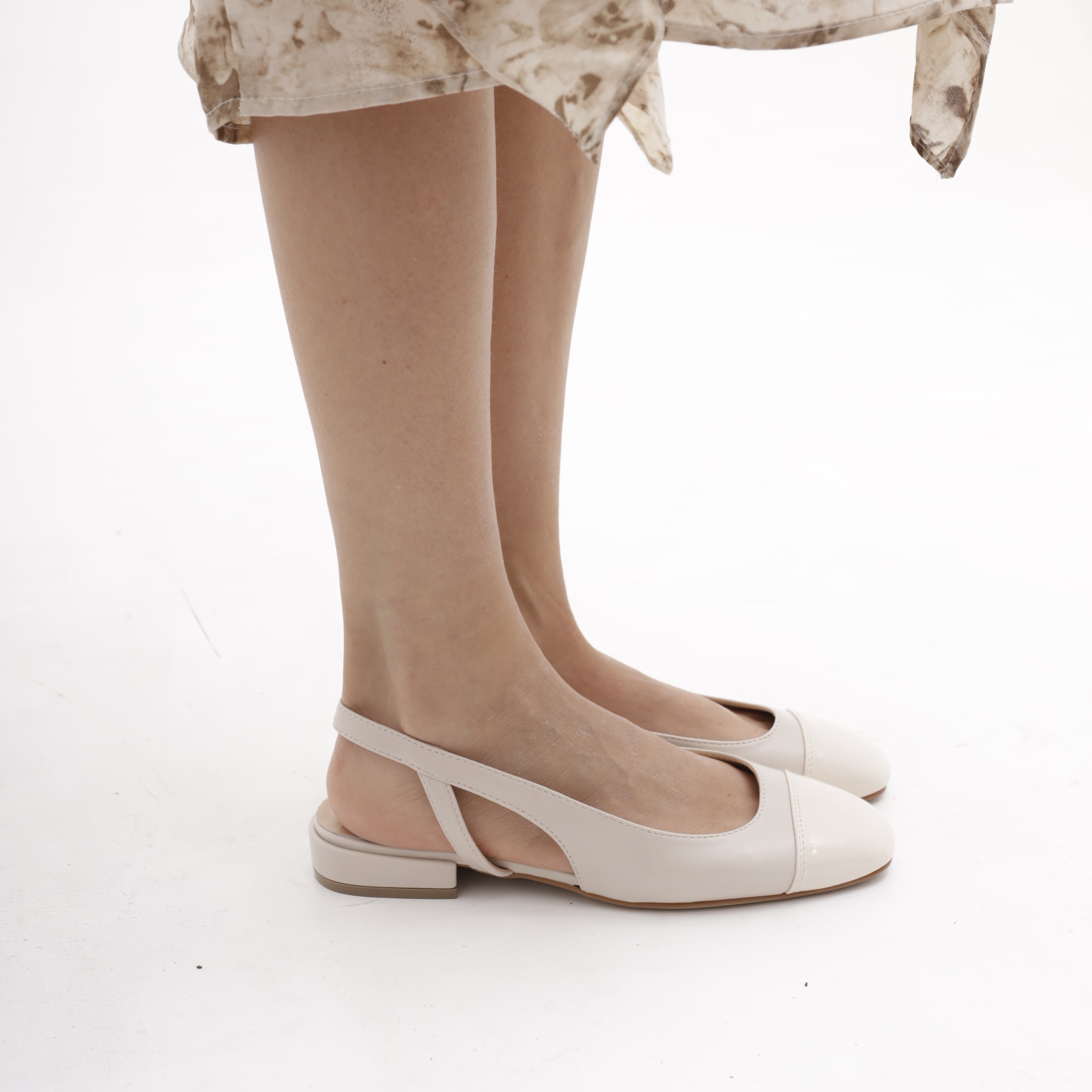 ლოფერი CRICHIC