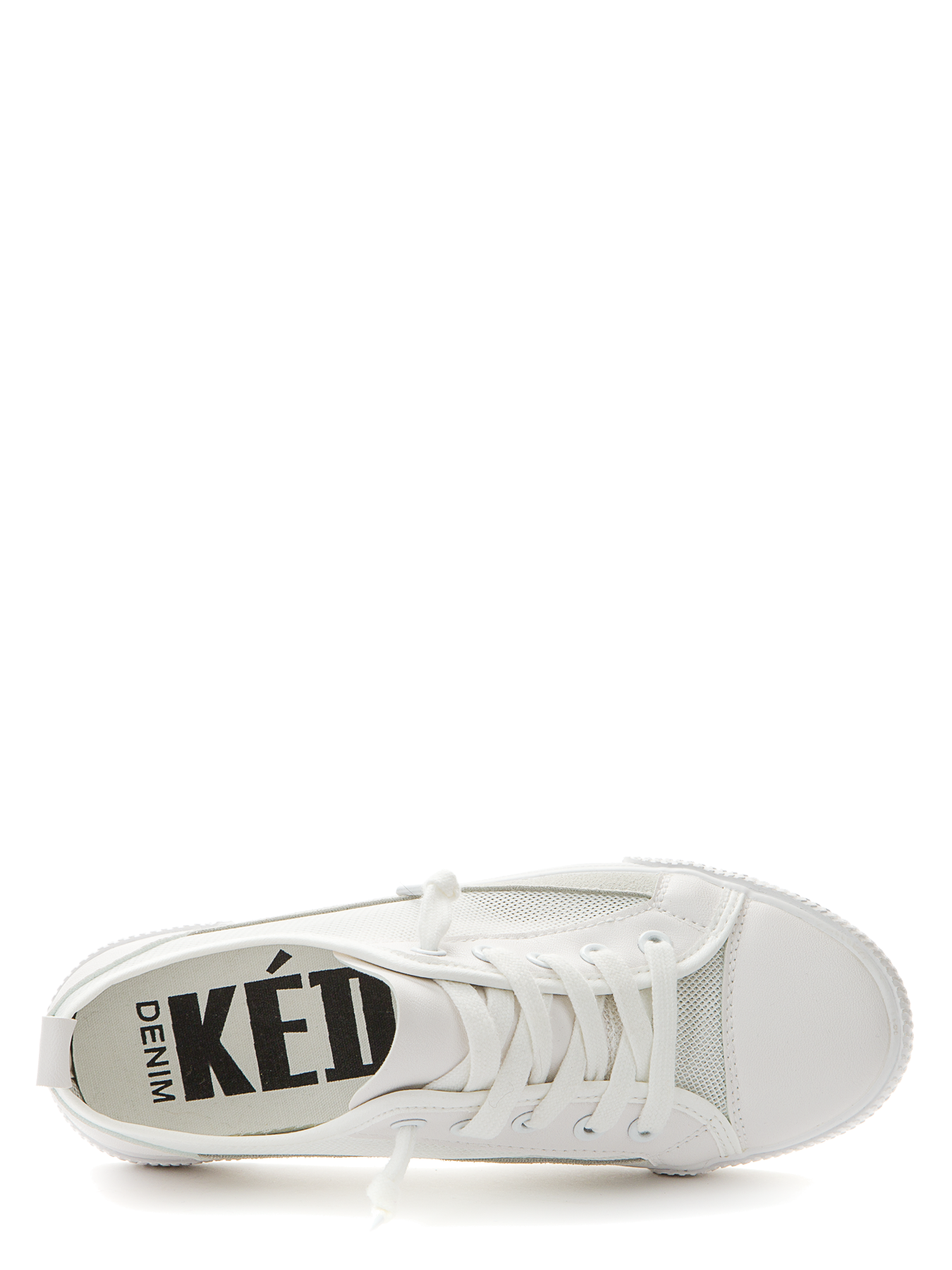 კედი KEDDO