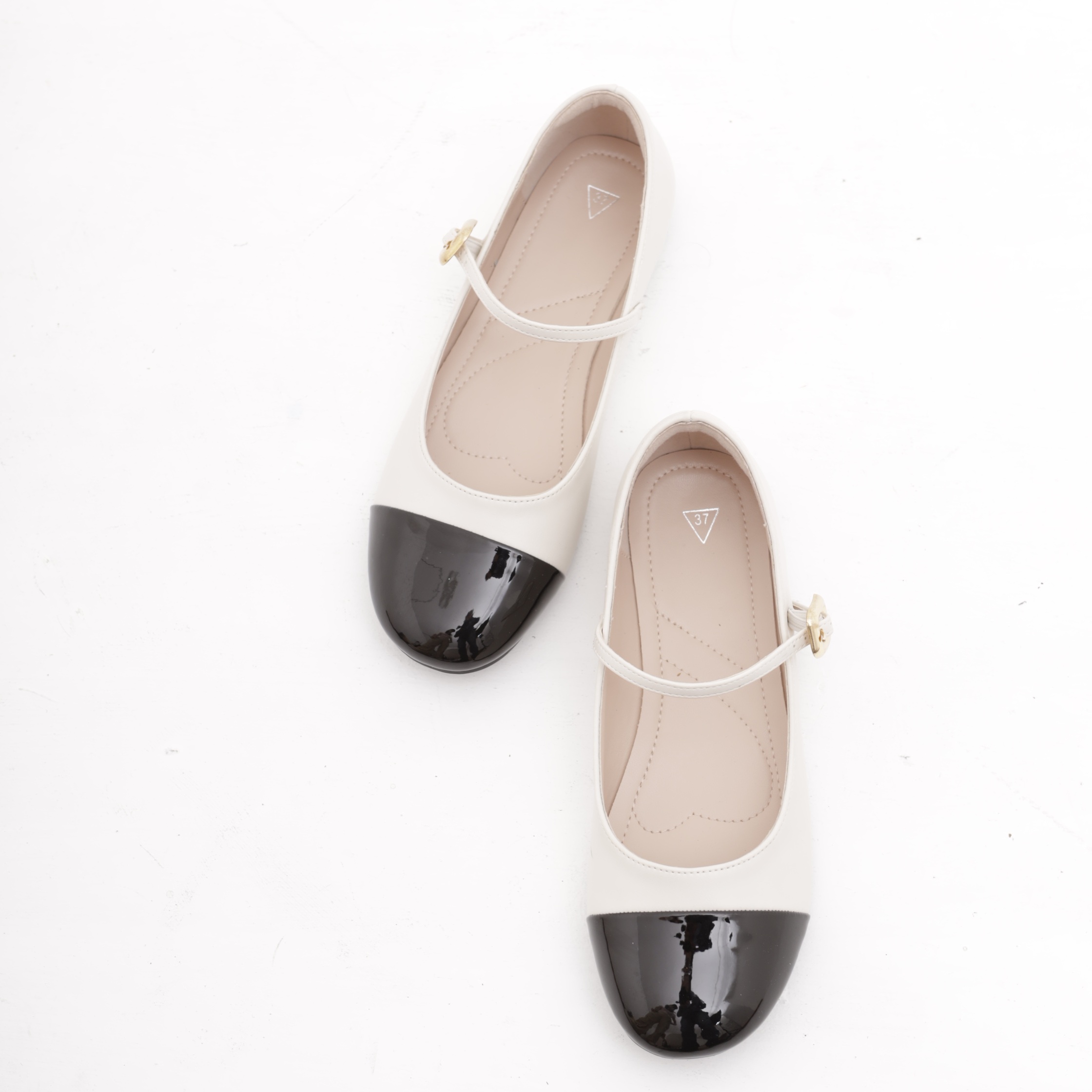 ლოფერი CRICHIC