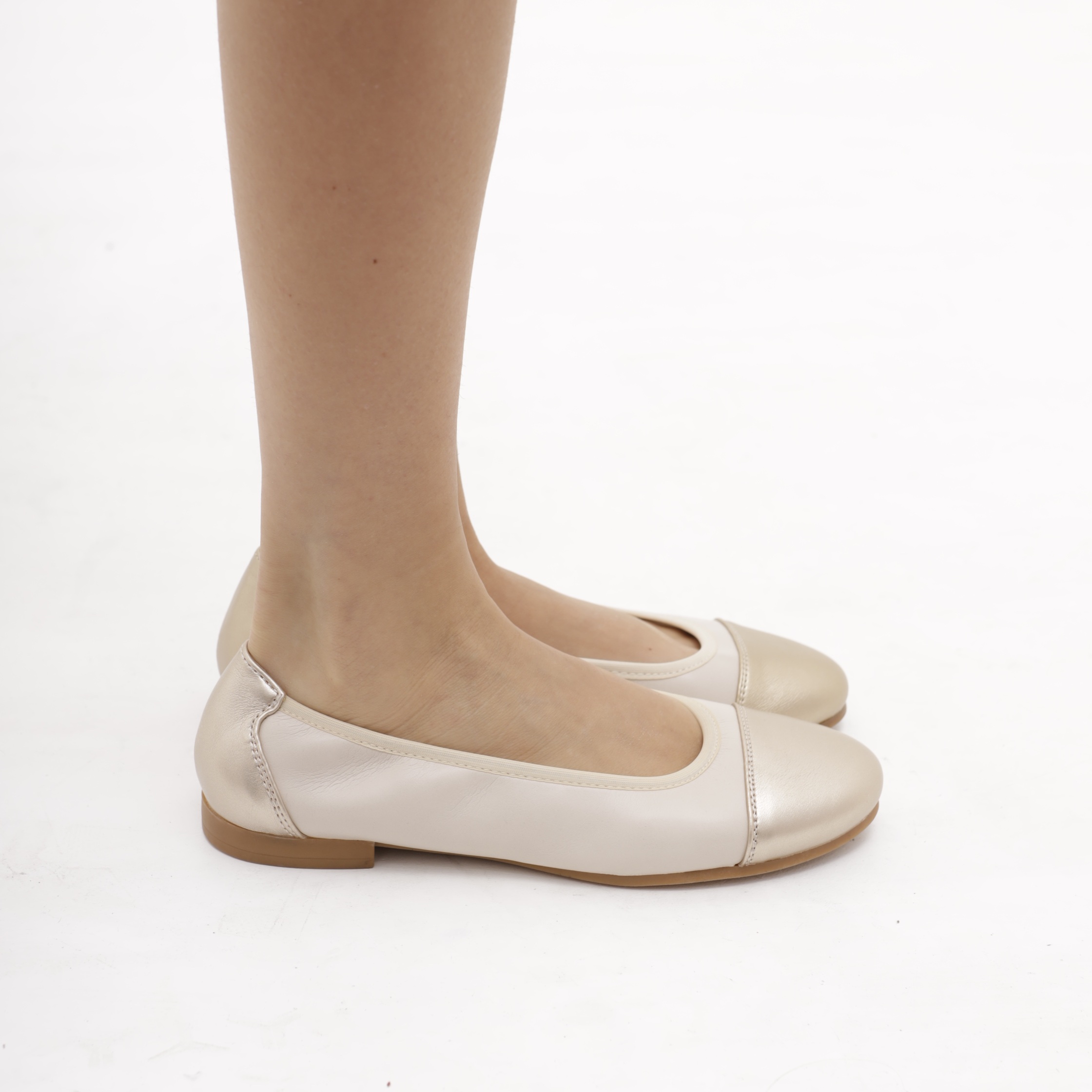 ლოფერი CRICHIC