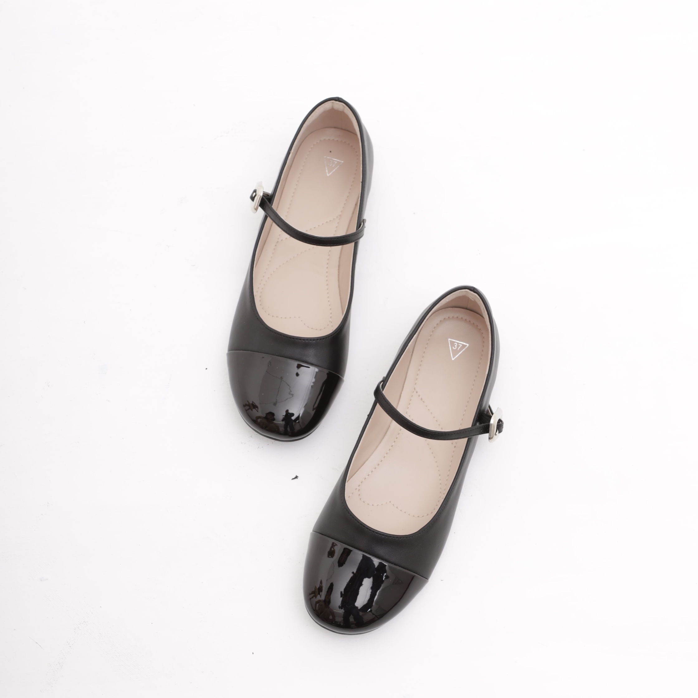 ლოფერი CRICHIC