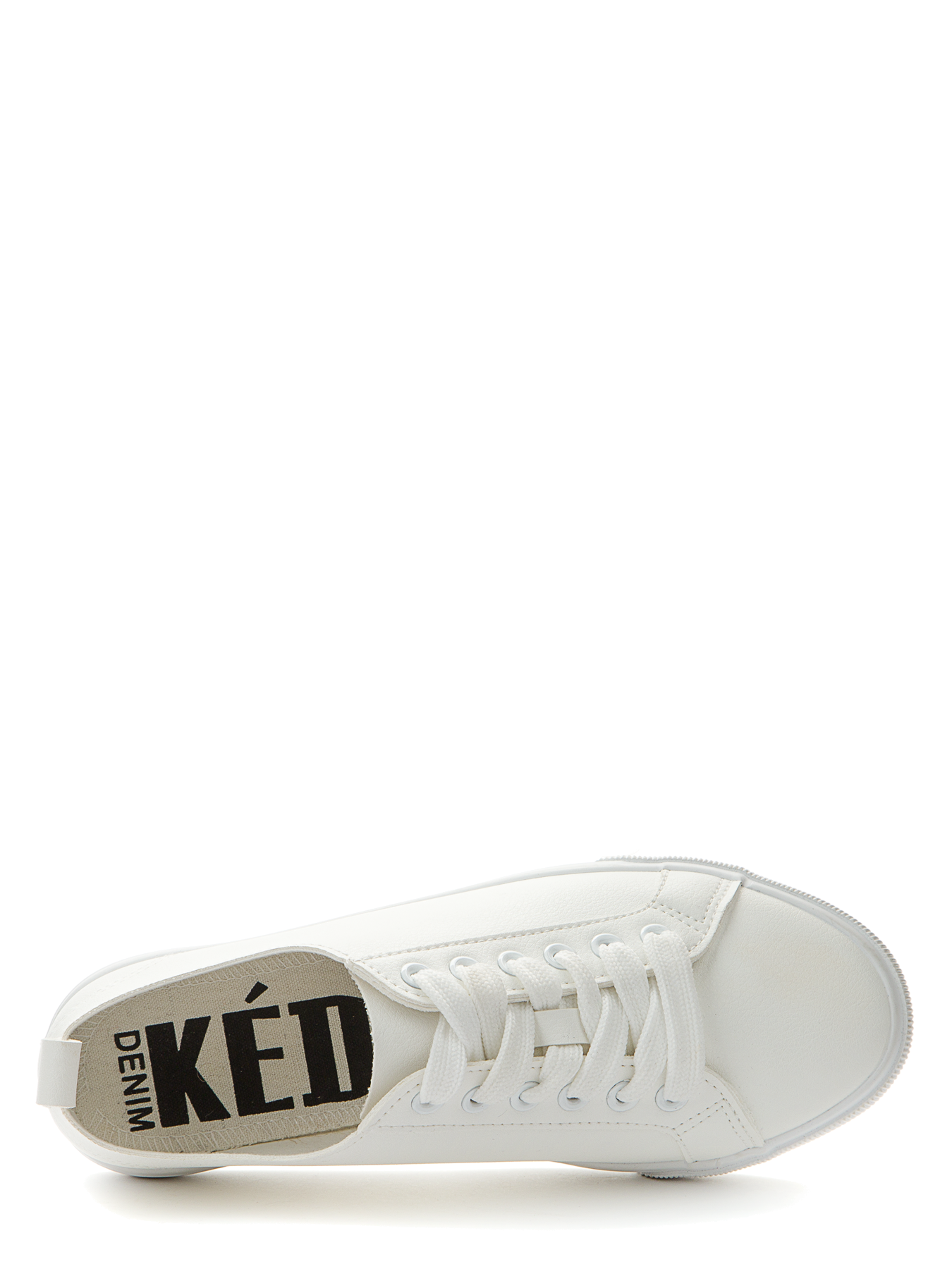 კედი KEDDO